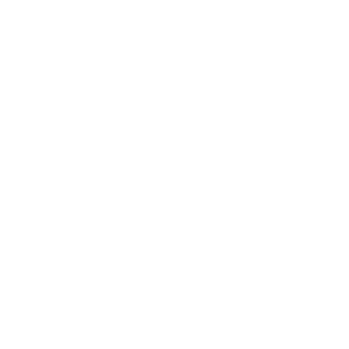 Brandon Williams Logo(White)